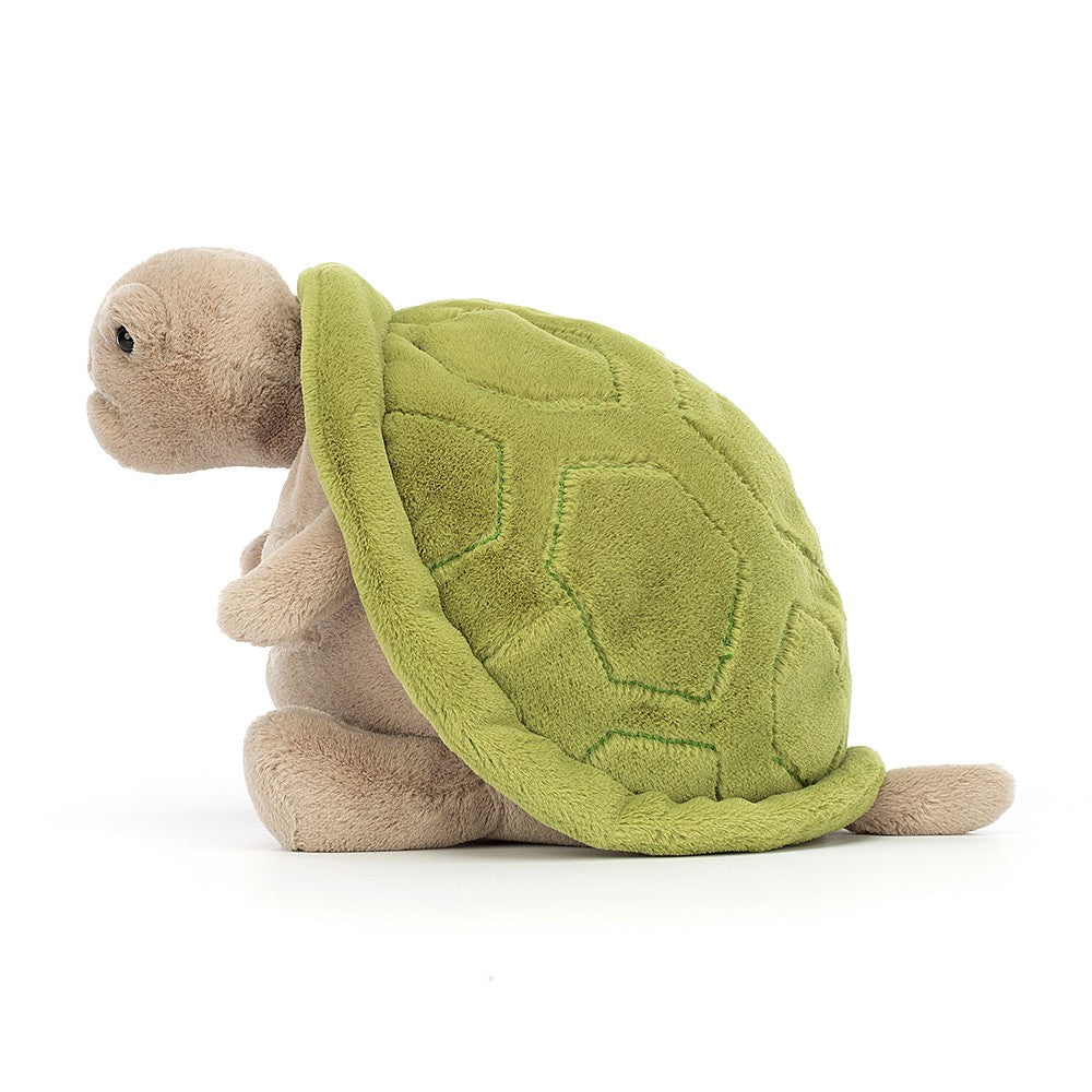 Timmy Turtle – Random Accessories NYC