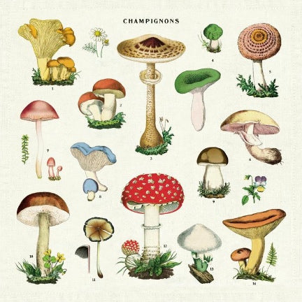 Mushroom Cloth napkins - Set of 4