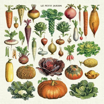Vegetable Cloth napkins- Set of 4