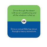 After Dinner Amusements: Which Would You Choose?