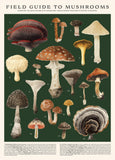 500 Pc. Mushrooms Puzzle