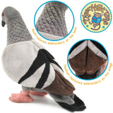 NYC Pigeon