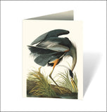 Audubon's Birds of America Notecards