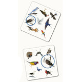 Bird Spotter Matching Game