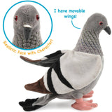 NYC Pigeon