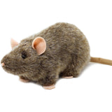 NYC Rat