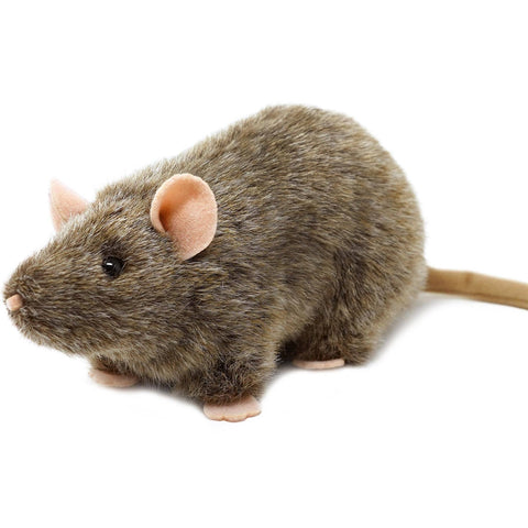 NYC Rat