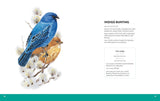 The Visual Directory Birds of North America