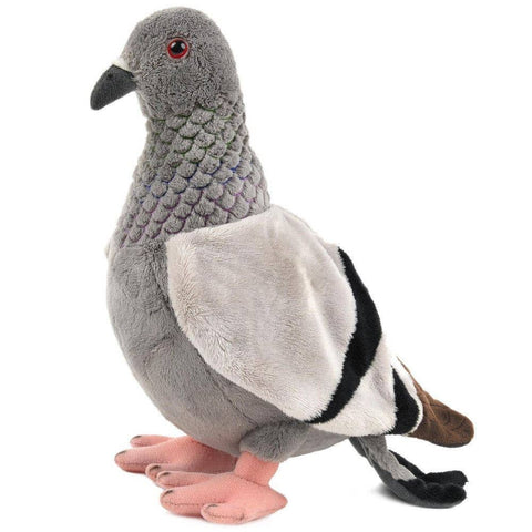 NYC Pigeon