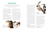 The Visual Directory Birds of North America