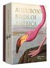 Audubon's Birds of America Notecards
