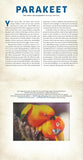 Birds: A Photicular Book
