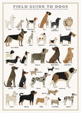 Dogs 500 Piece Puzzle
