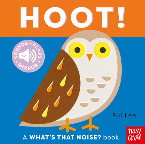 What’s That Noise? Hoot! Board Book