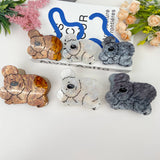 Cute Cartoon Koala Hair Clip: Gray / 3.7inch
