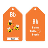 ABCs of the Earth Ring Flash Cards