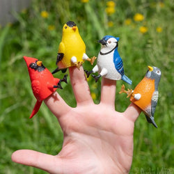 Finger Bird Feeder Birds