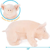 Perla The Pig