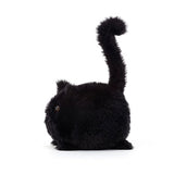 kitten Caboodle Black Plush