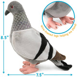 NYC Pigeon