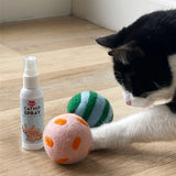Kitty Spray and Play by Kiki