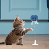 Kitty Spring Toy