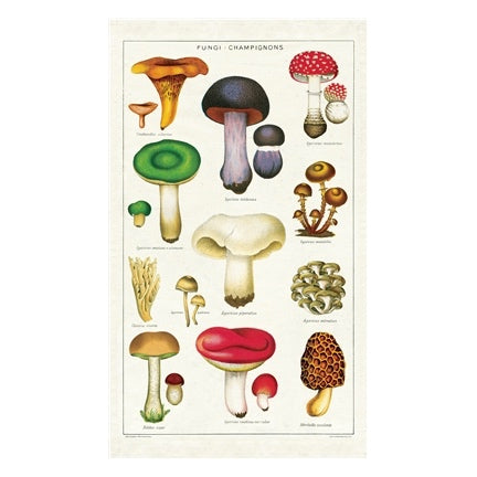 NWT ANTHROPOLOGIE MUSHROOM FUNGI KITCHEN DISH TOWEL OR WALL