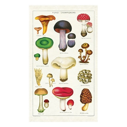 Vintage Mushroom Towels Mushroom Dish Towels Mushroom Hand