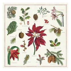 Botanica  Holiday Cloth Napkins