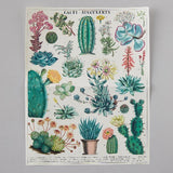 Cacti & Succulents Puzzle