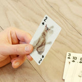 3D Cat Playing Cards