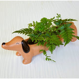 Dachsund planter for succulents