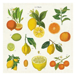 Citrus Cloth Napkins - Set of 4